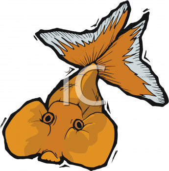 Fish Clipart